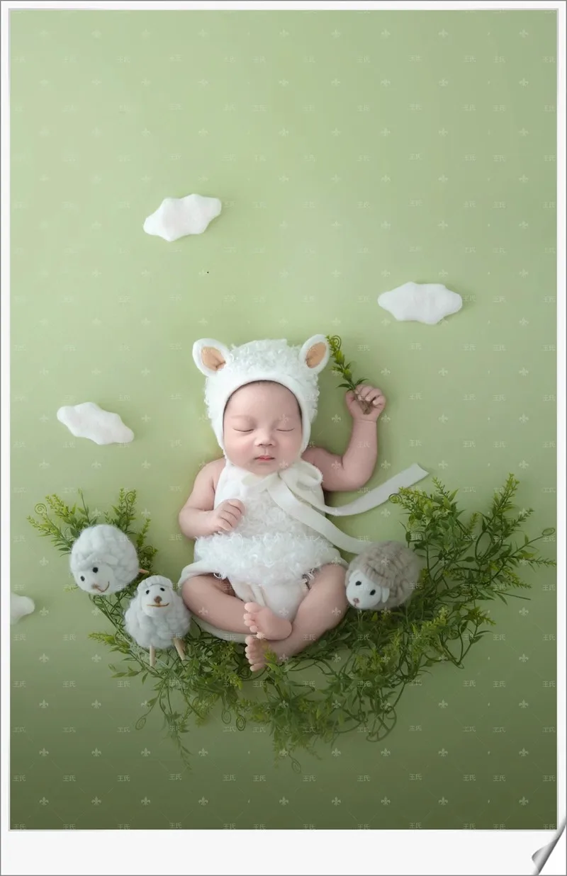 Newborn Photography Props Studio Photography Theme New Full Moon Baby Baby Photography Clothes 신생아사진  baby kleding