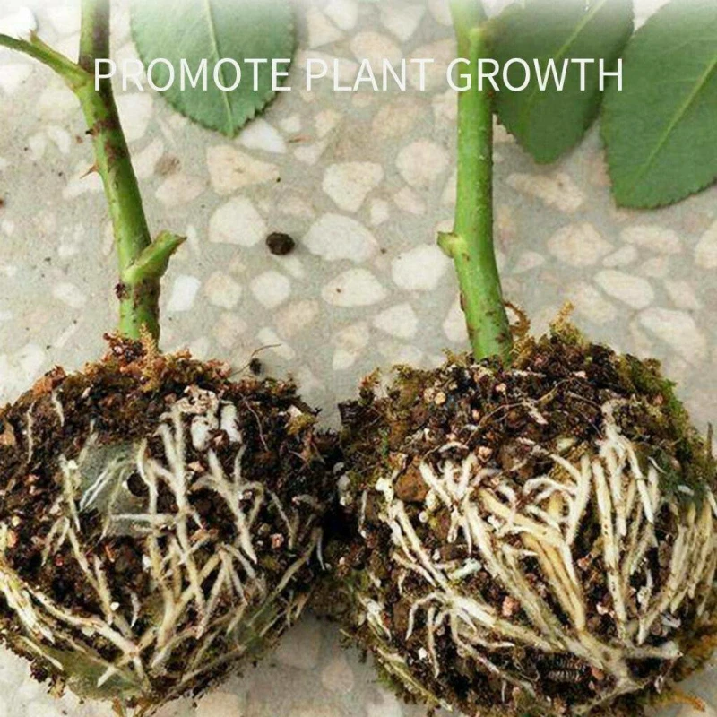 Growing Box Versatile Time-saving Rooting System Trending Plant Rooting Ball For Consistent Growth Nursery Box Efficient Durable
