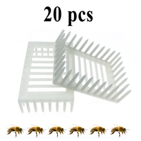 20PCS Press In Honey Comb Queen Cage 4.3mm Gap For Apis Mellifera Isolation Safe On Comb Capture Worker Bee Pass Through Tools