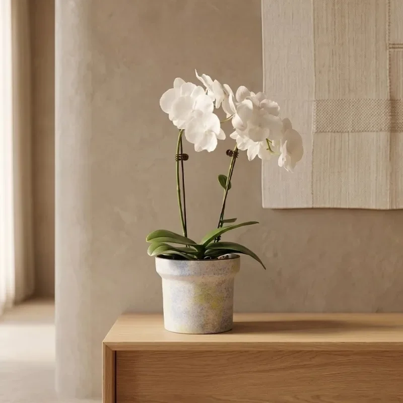 Clay Flower Pot Desktop Decoration Modern Minimalist Indoor Plants Pots Balcony Luxury Aesthetic Round Orchid Pot Home Decor