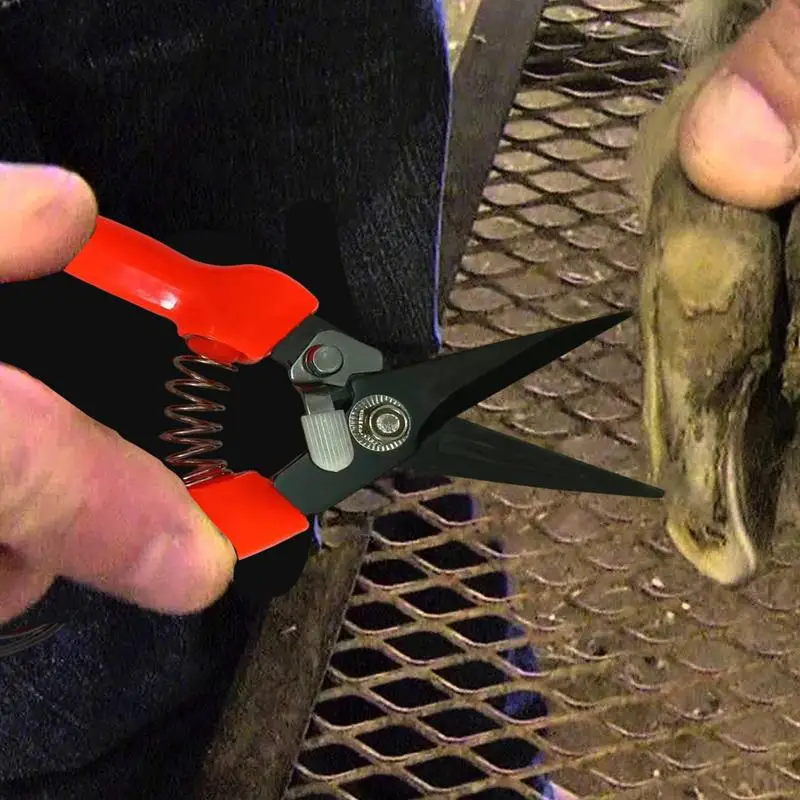 Imagem -05 - Cabra Sheep Hoof Aparar Tesouras Nail Clippers Sheep Arbusto Planta Poda Floral Cortar Tesouras Ferramentas de Tesoura de Jardim 22cm