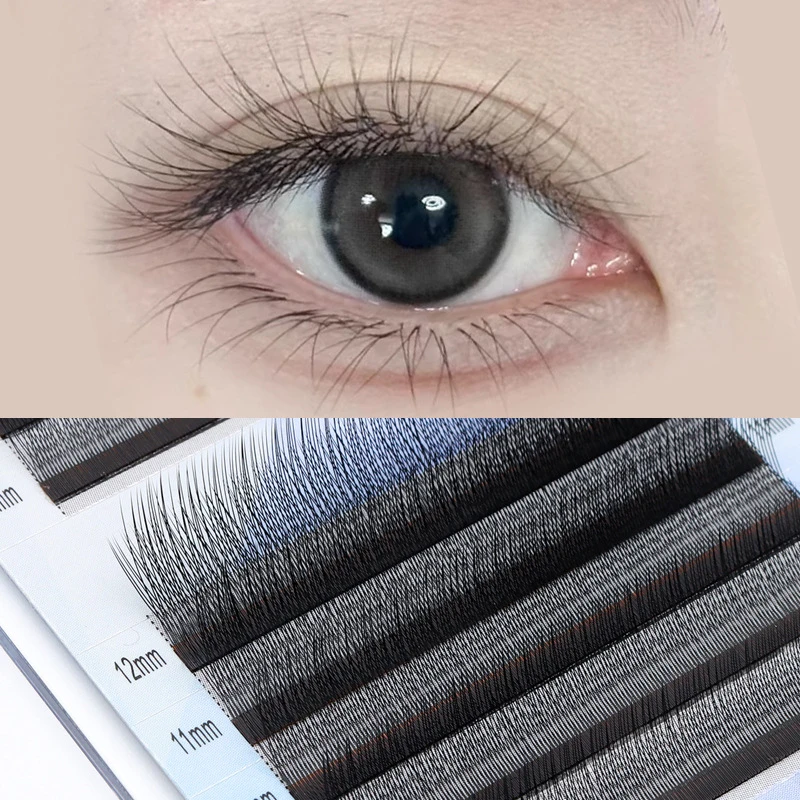 

Brown Camellia Lashes C LC Curl Adhesive Loose Base Curl Brown Eyelash Extension Supplies for Beauty Salon And Home Use