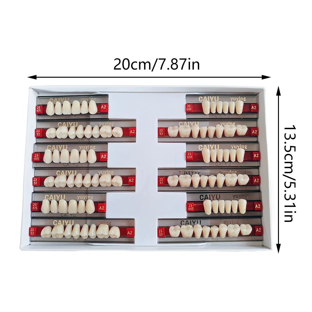 Artificial Tooth Acrylic Resin Temporary False Teeth Upper Lower Denture Tooth Fake Dentures Halloween Horror Prop For Women And
