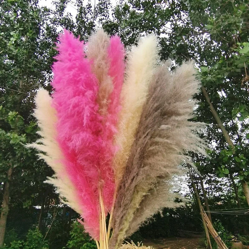 Dried Natural Flower, Large Pampas Grass, Fluffy, Pink, White, Grey, Wedding Pompas, Floral Decoration, Artificial Flowers, 80cm