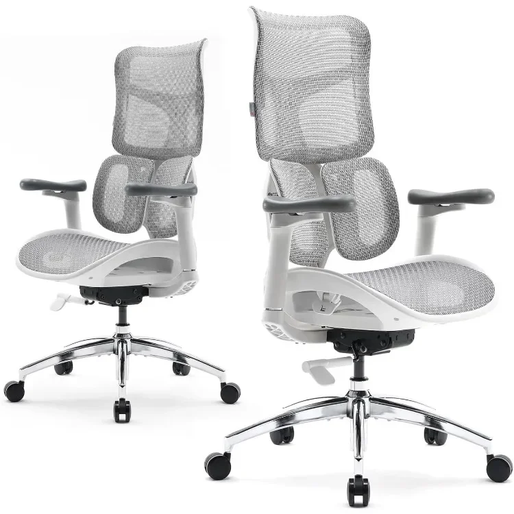 

Doro S100 Ergonomic Office Chair - with Dual Dynamic Lumbar Support, 5-Level Adjustable Backrest, 4D Coordinated Armrests