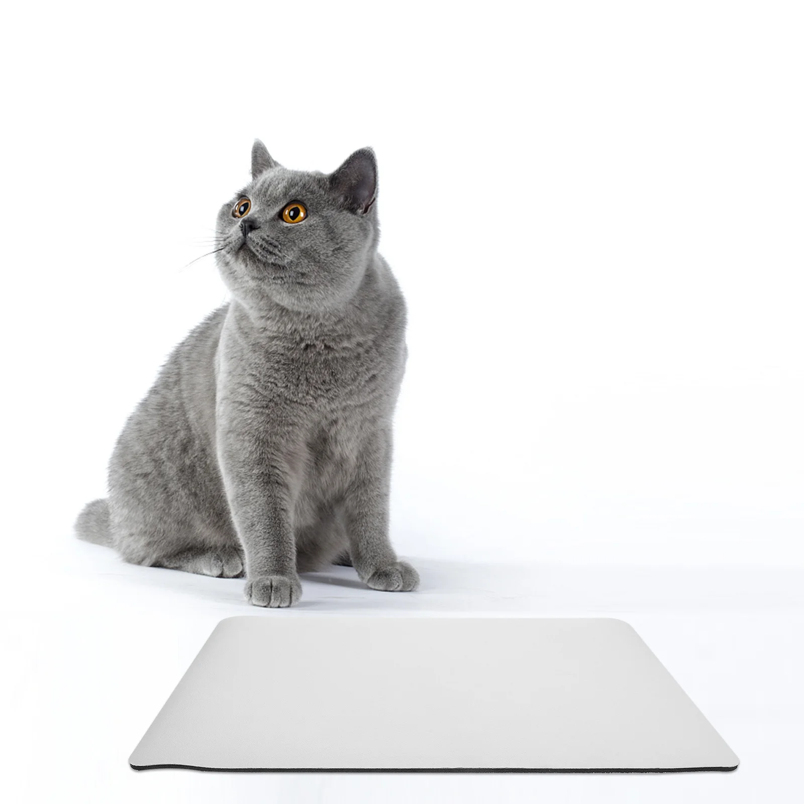 

Reusable Pet Feeding Cushion Absorbent Mat No Stains Dog Cat Food Water Bowl Non Slip Durable Longtime Use Dog Water Bowl Mat