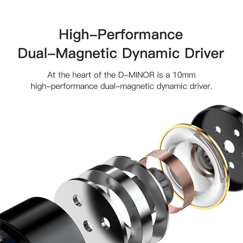 

TWISTURA D-Minor In Ear Monitor