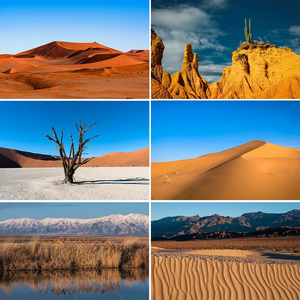 Bonvvie Photography Background Natural Desert Sand Dunes Blue Sky Beautiful Landscape Backdrop Photocall for Photo Studio