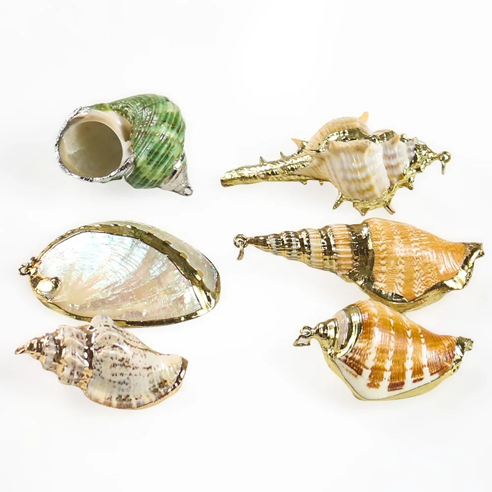 5PCS Natural Conch Seashell Ornaments for Pendant Shells Charms Necklace Pendant DIY Shells for Jewelry Making Accessories