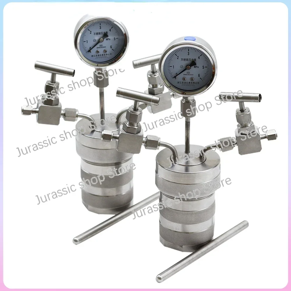 100ml 6Mpa Hydrothermal synthesis Autoclave Reactor vessel +inlet outlet gauge