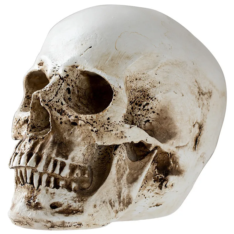 Make old skull model creative halloween secret room escape grimace decoration art shooting props