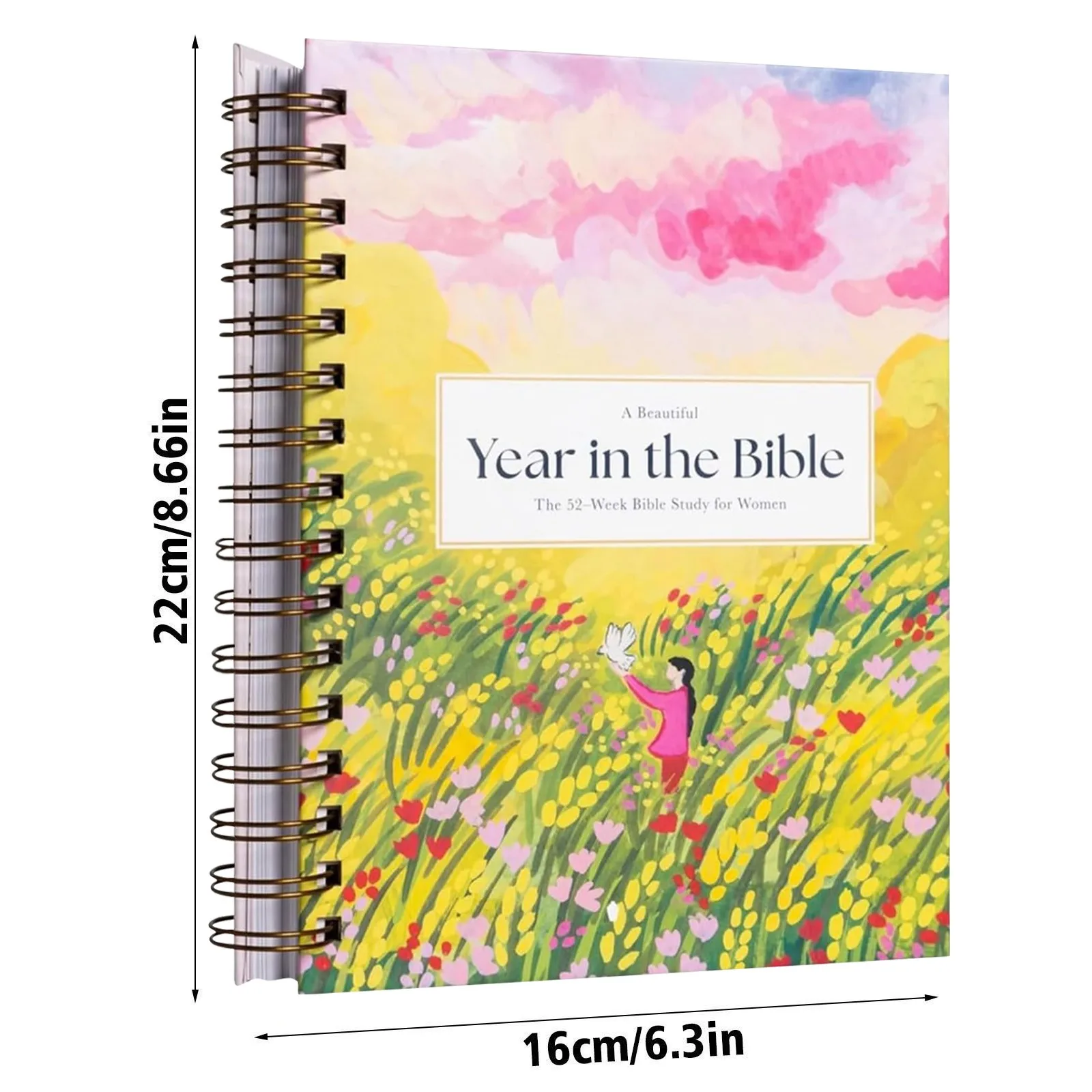 Special Gift Book A Beautiful Year In The Bible: A 52 Week Bible Study For Women Women Bible Study Guide With Suggested Readings