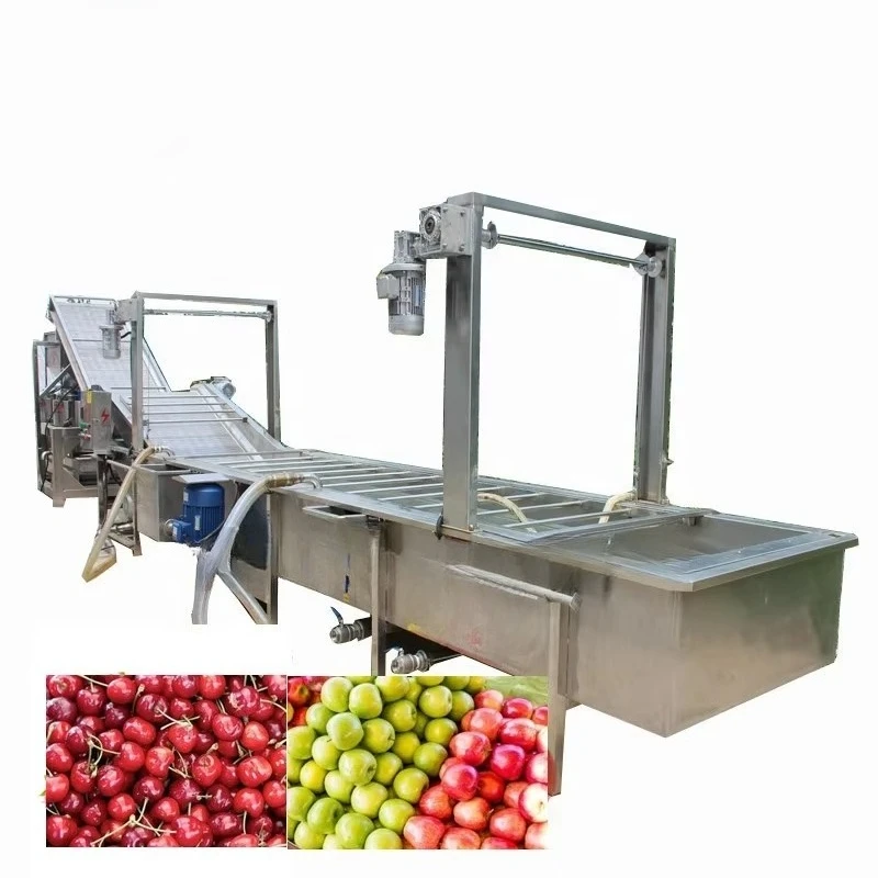 Factory Wholesale Fruit Bubble Washing Machine Orange Strawberry Cherry Lemon Mango Tomato Washer Provided 1 Set 300 600mm