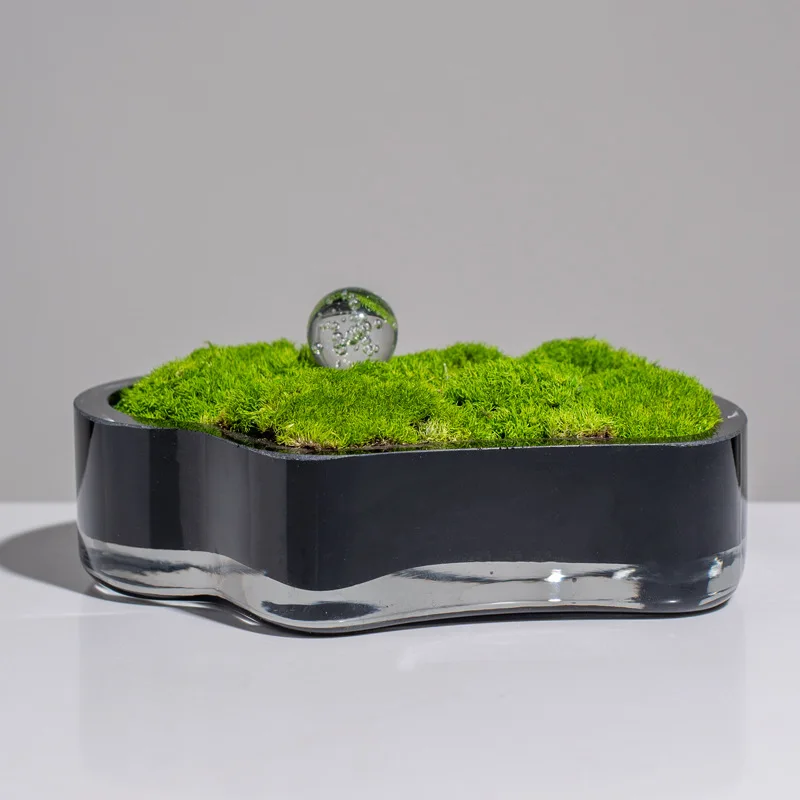 غرفة نموذجية، غرفة معيشة، طاولة قهوة مستديرة، نباتات خضراء وديكور ناعم، زخرفة مشهد صغير، أثاث راقي #3