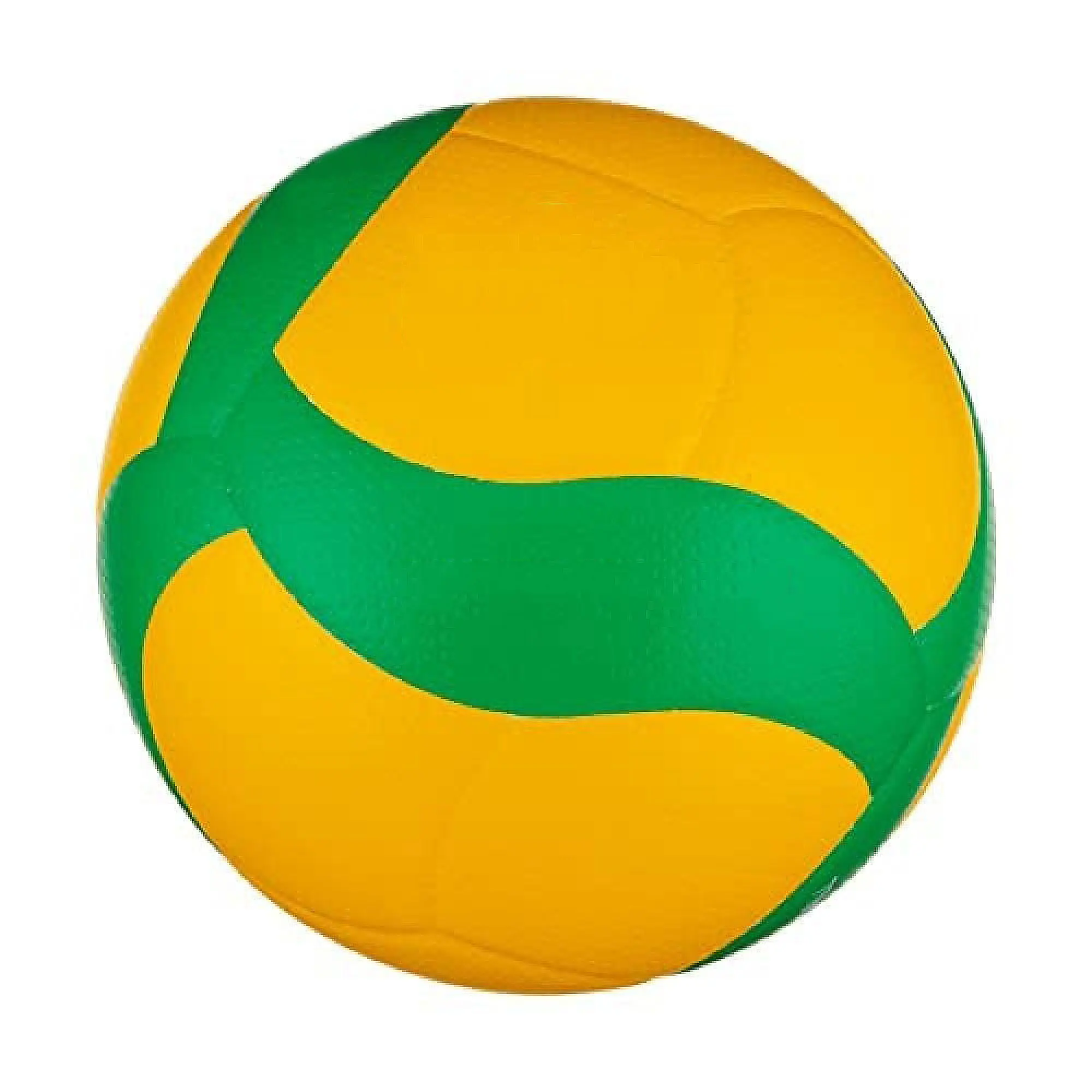 Nieuw Model Professionele Volleybalbal, Trainingscompetitie Professioneel Spelvolleybal, Optionele Pomp + Naald + Nettas
