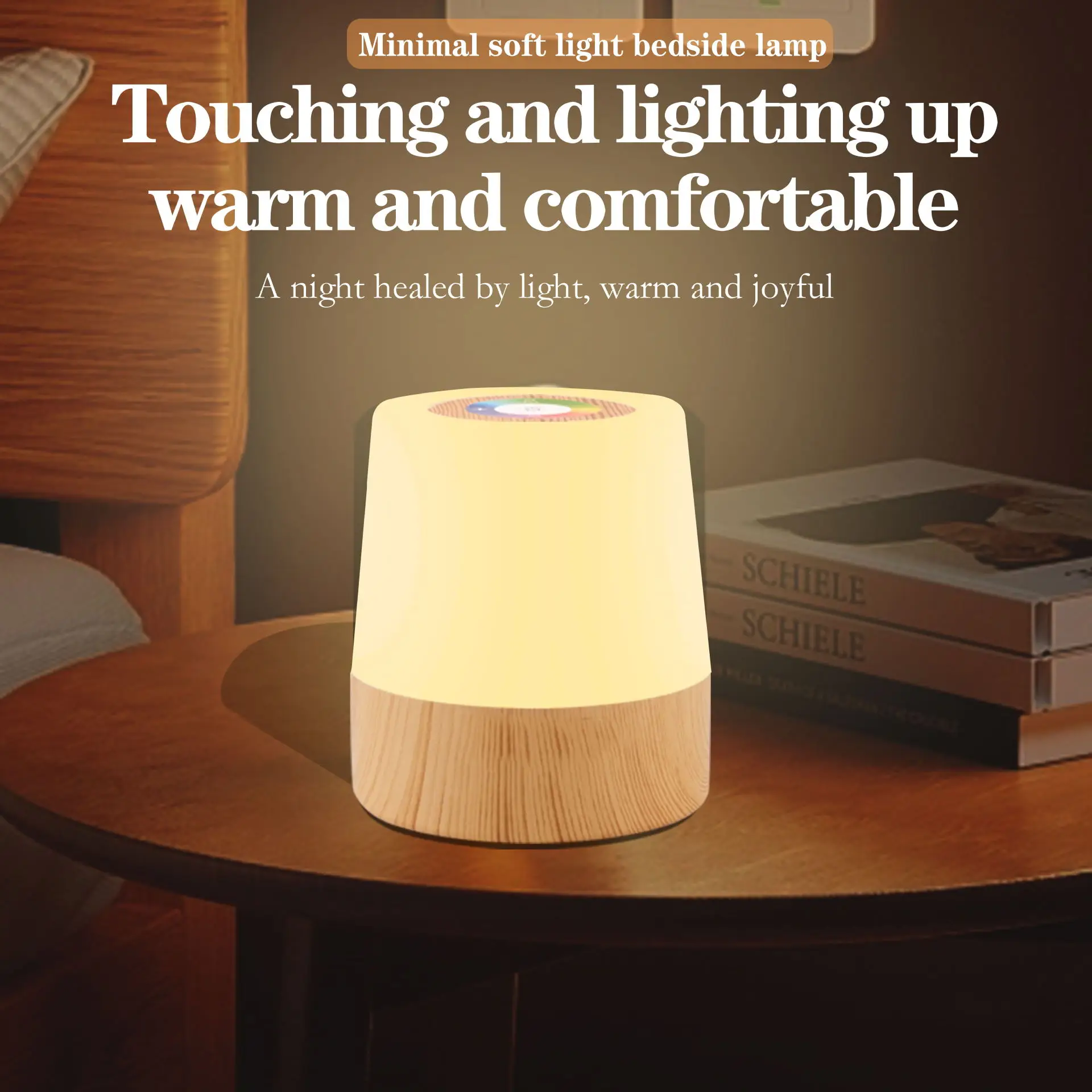 Touch Table Lamp Bedside Night Light with Remote Control Infinitely Dimmable Timer Function USB Rechargeable Kids Children Gift