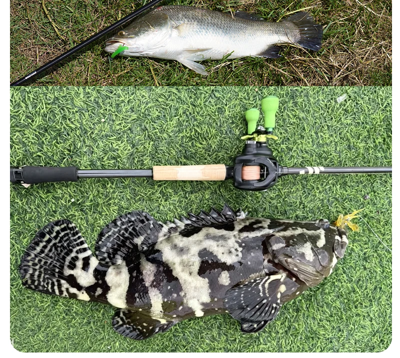 PURELURE NEW SHARPEN Pro 3,5-38g 5ft 6ft Spinn- und Casting-Ruten mit XF-Aktion, FUJI-Ringen für Zander, Barsch, Hecht und Wels – Detail 24