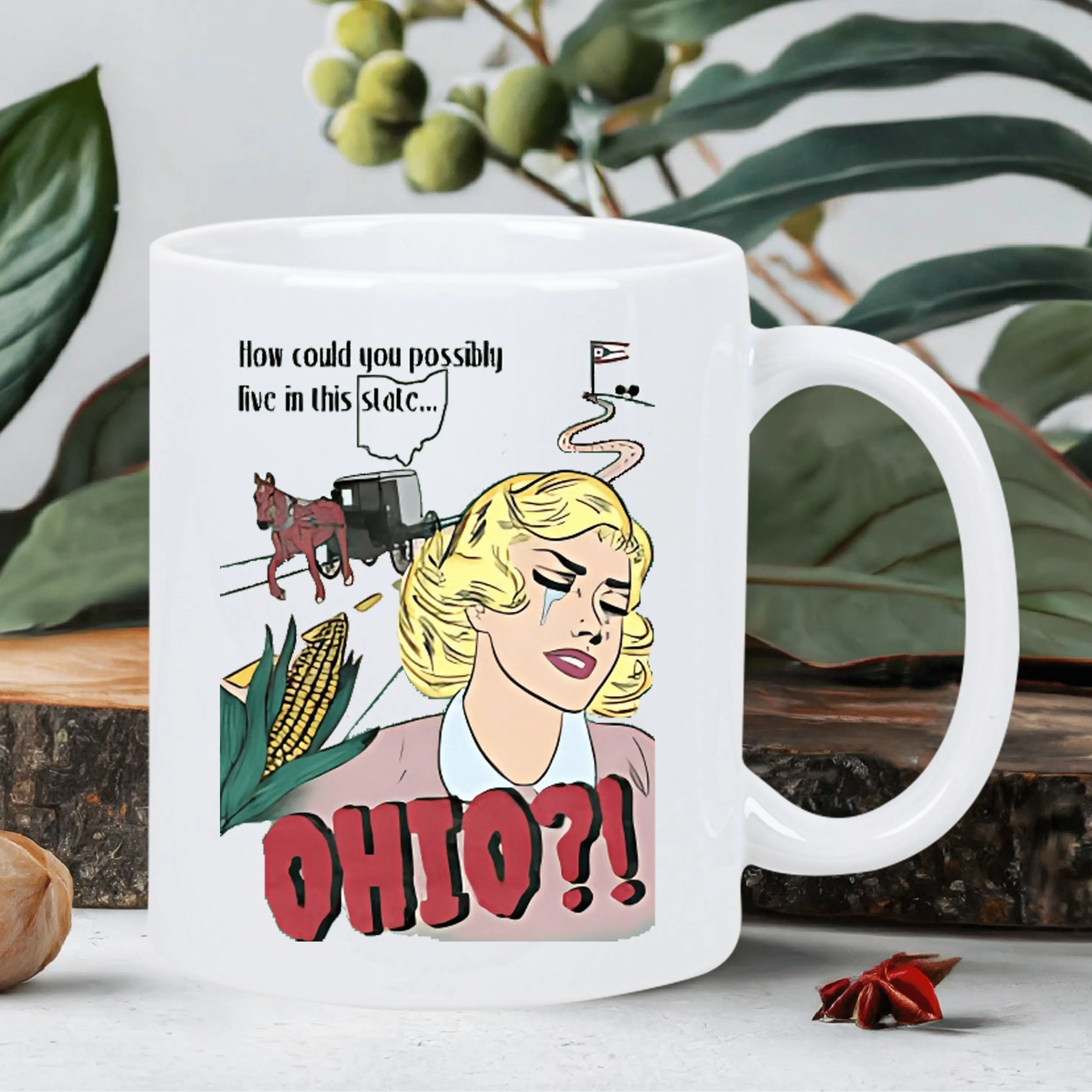 

How Could You Live in Ohio Mug - Funny Coffee Mug for Gifts, Home Decor, Ohio Jokes, State Pride & Local Humor