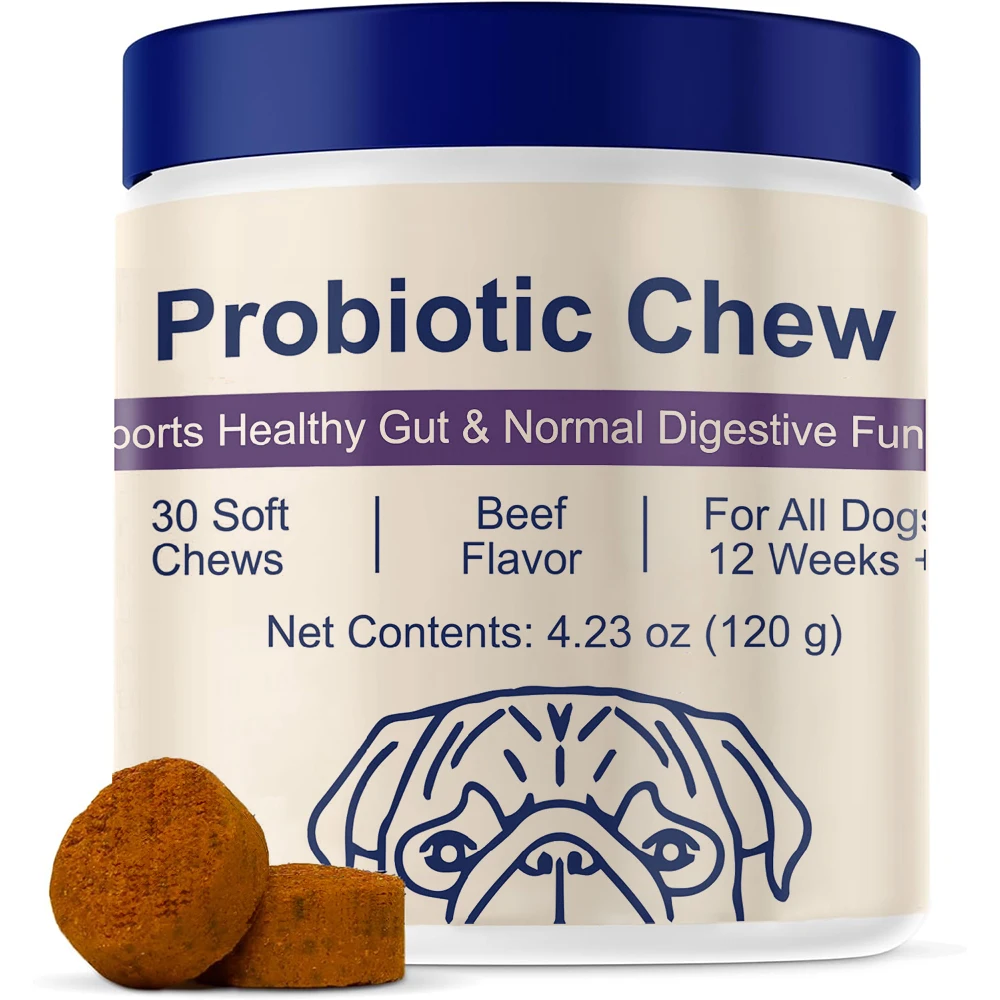 

Пробиотики жевания для собак 12 недели + поддержка здоровья Gut, диарея на случай, здоровье пищеварения и сезонных аллергии - вкус свинины