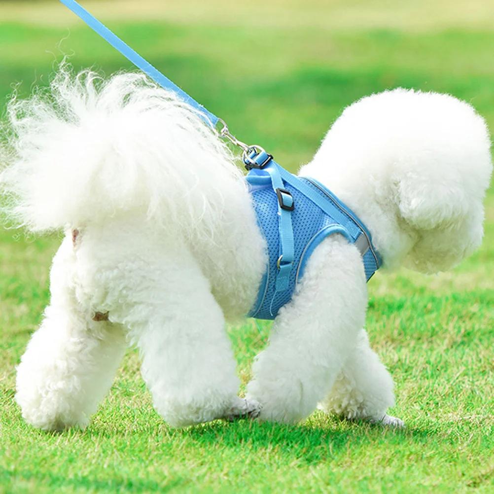 

Blue Xs Dog Harness Set Reflective Pet Vest Harness Chest Strap Leash Breathable Outdoor Puppy Use Pet Chest Strap