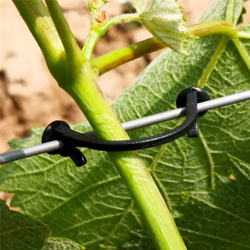 New Shown-Vegetable Flower Vine Fastening Clip 2000Pc 6Cm Tied Buckle Greenhouse Plant Kiwi Grape Lashing Hook Fixed
