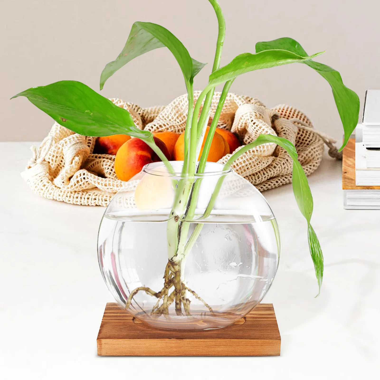 

Green Pothos Glass Vase With Wooden Base Simple Design For Home Office Desk Decor Hydroponic Plant Terrarium Flower Arranging