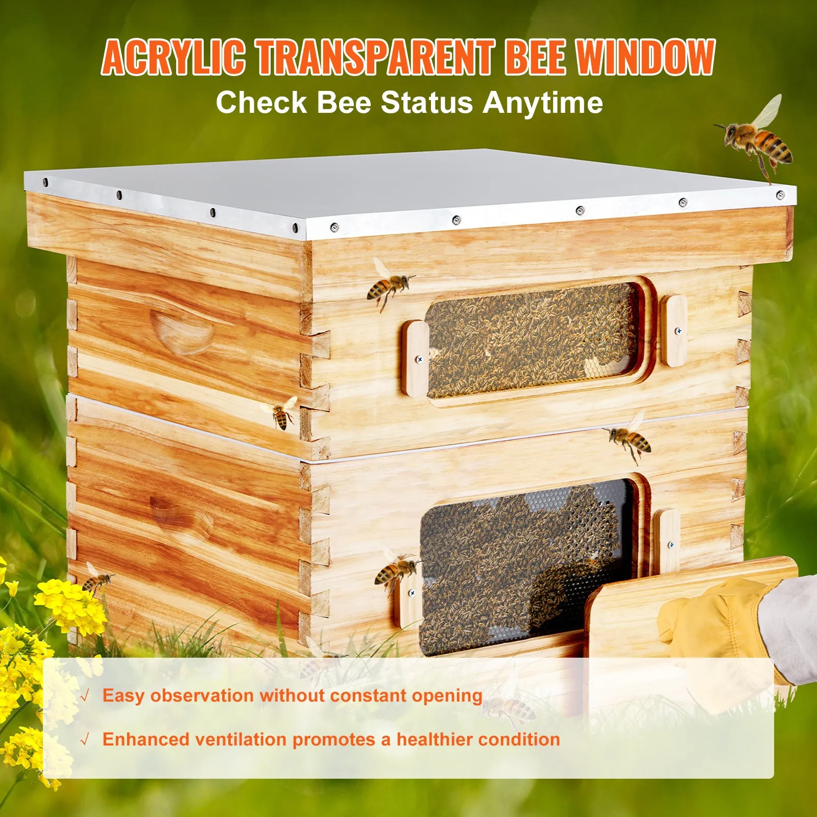 

Bee Hive Langstroth Kit 10 Deep & 10 Medium Frames with Acrylic Windows