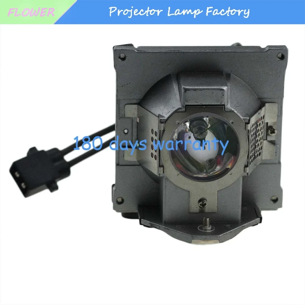 Hot Salling 5J.J2D05.001 5J.J2D05.011 Projector lamp with housing for BENQ SP920 projectors