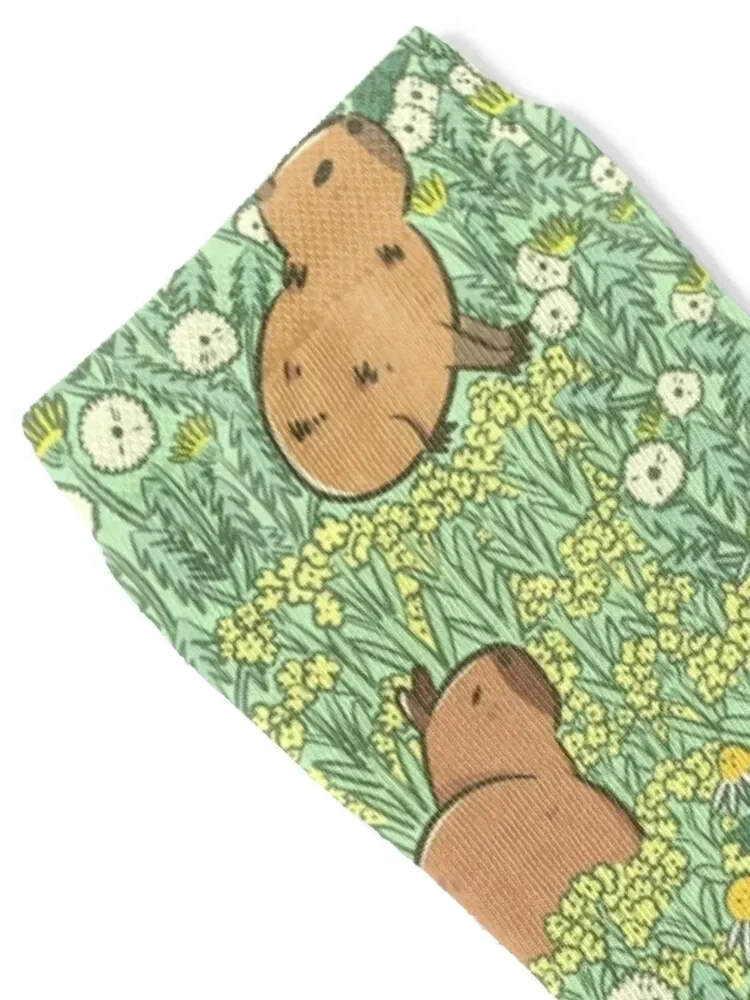 Capybaras Meadow in Green and Yellow Socks kawaii happy cute Socks For Men Women's