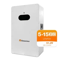 Lifepo4 5kwh 10kwh 15kwh 51.2V Lithium Ion Battery Pack 100Ah 200Ah Power Wall for Solar System Energy Storage