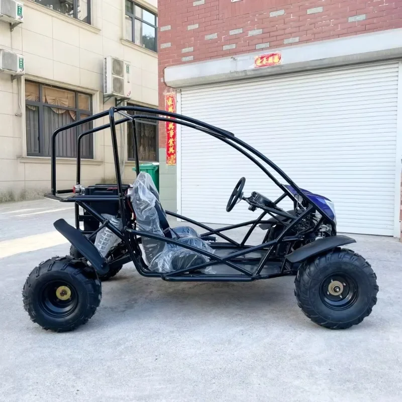 

LNA decent classic 2000w 1500w 3000w adult buggy