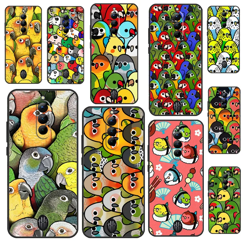 Parrot Birds Cockat… - image