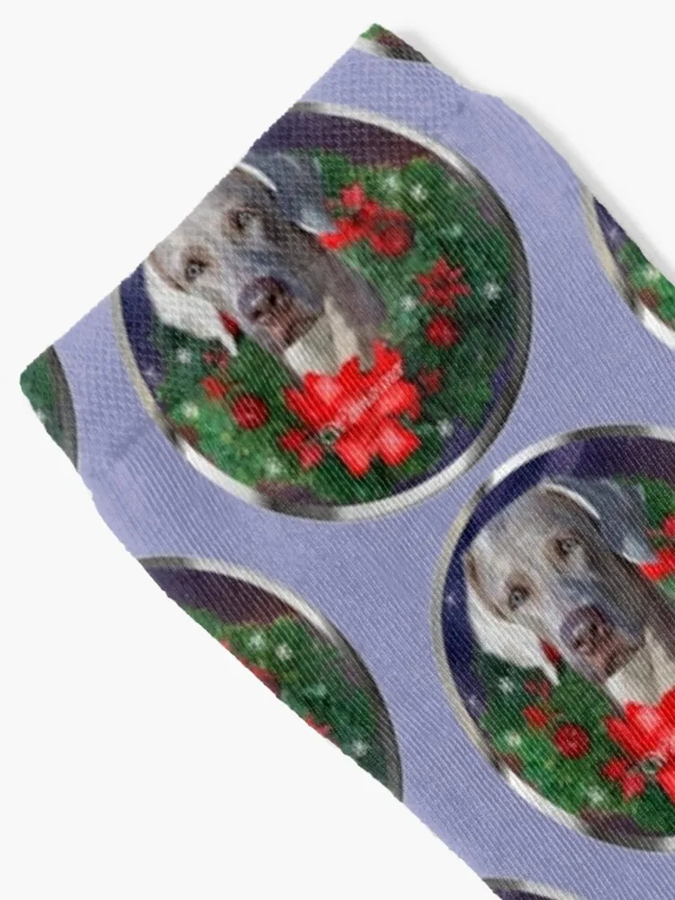 Weimaraner Natal Presentes Meias Mens Fashion