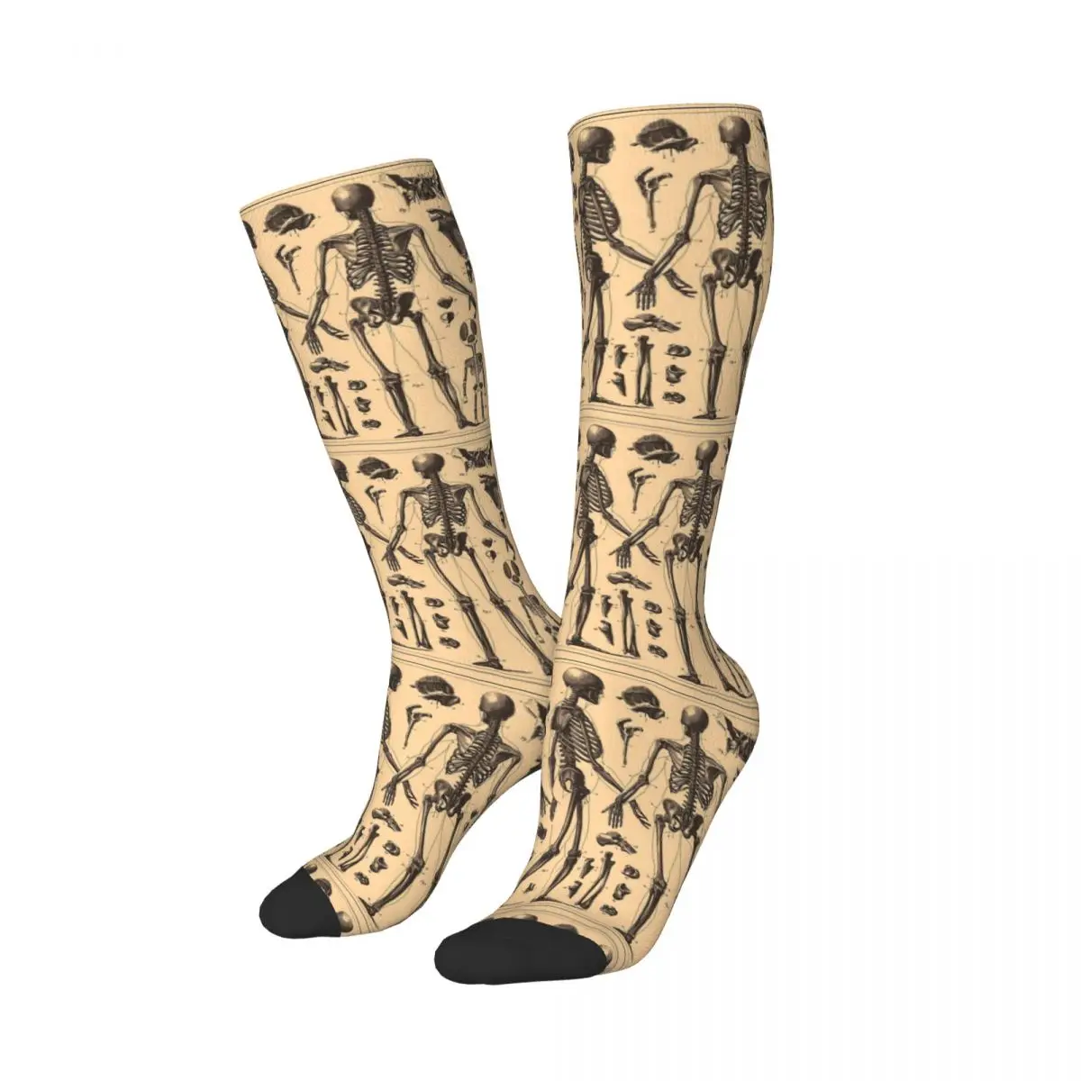 Vintage Human Skeleton Anatomy Diagram (1907) Socks Harajuku Stockings All Season Long Socks Accessories for Unisex Gifts