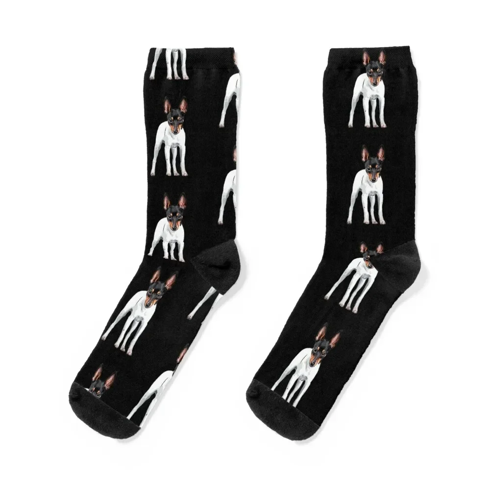 Toy Fox Terrier Socks Children's custom Man Socks Women's