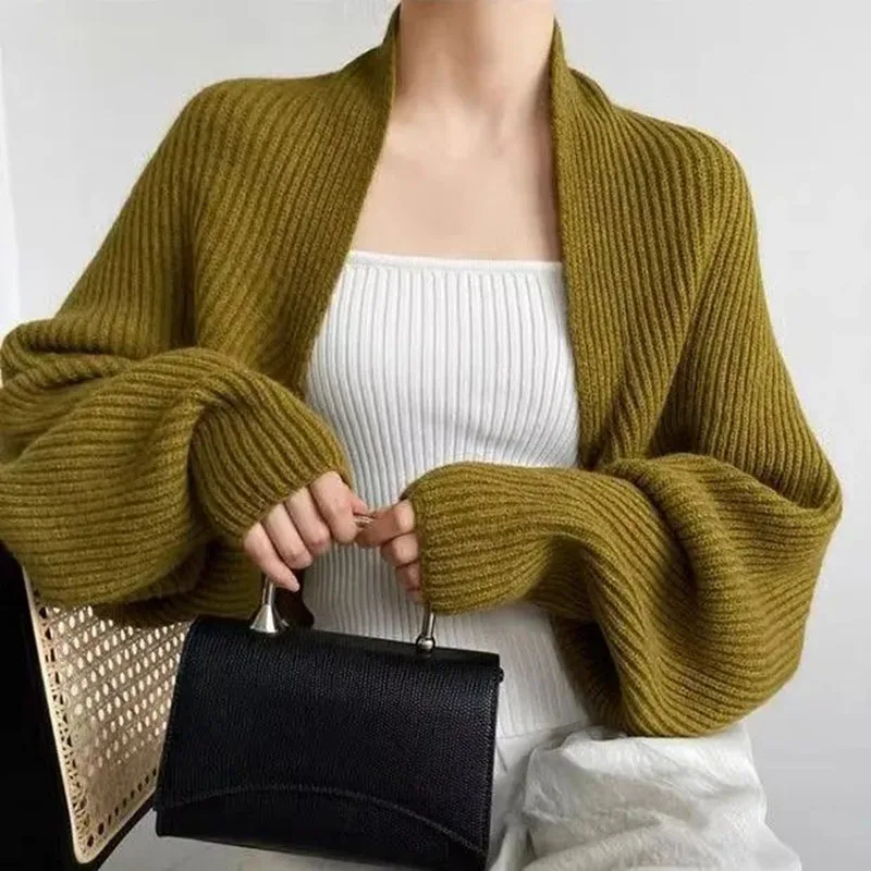 Korean Chic Crop Knitted Cardigan Women Y2K Autumn Warm Long Sleeve O Neck Casual Sweaters Female Streetwear Loose Knitted Coats