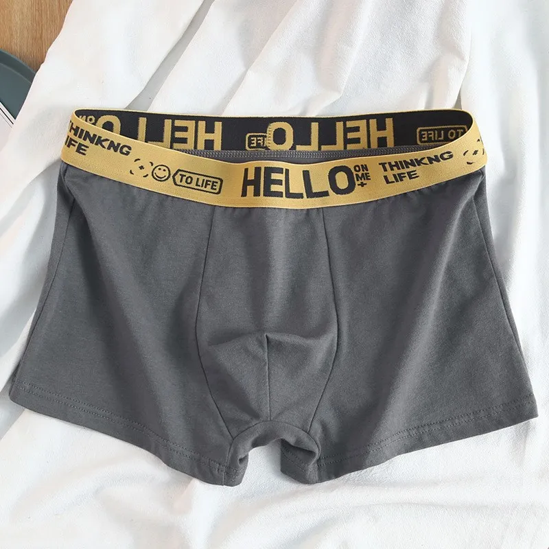 Herren unterwäsche Herren Großhandel Plus-Size-Taille Hallo Brief atmungsaktive bequeme Baumwolle Teen Boxer