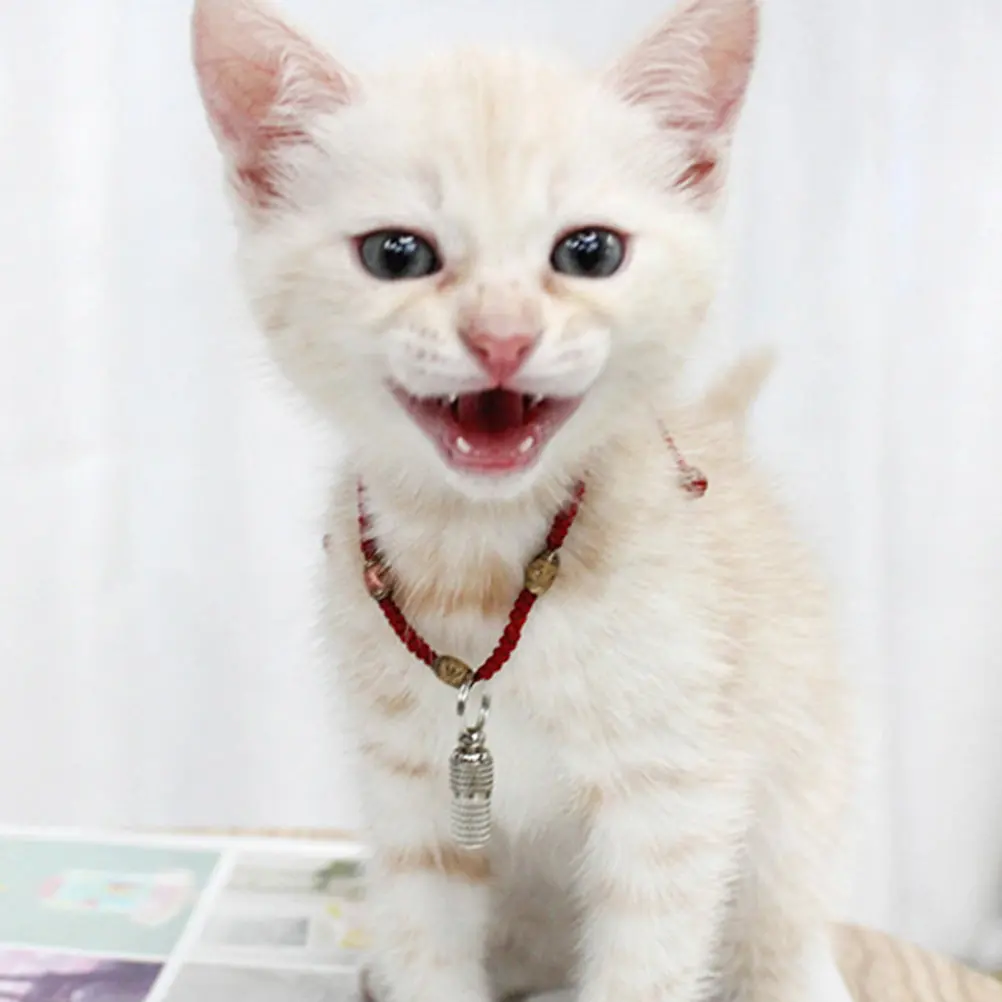 4Pcs Pet Address Ta…