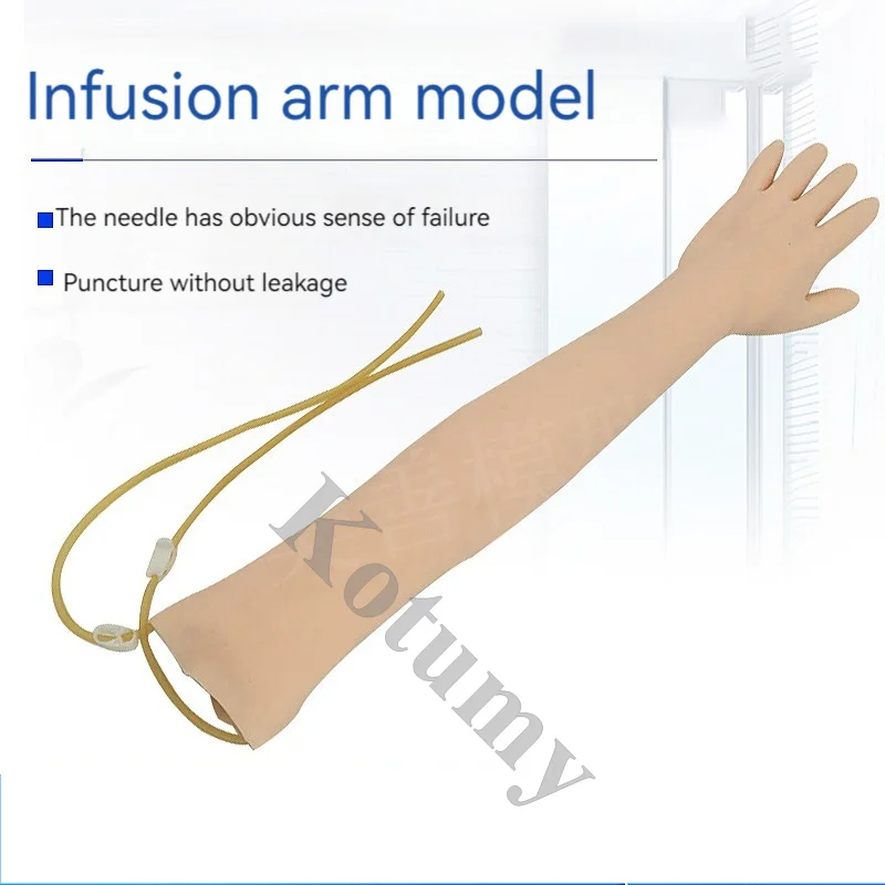 Complete Set Arm Vein Puncture Training Model Intravenous Infusion Injection Model Phlebotomy And Venipuncture Practic