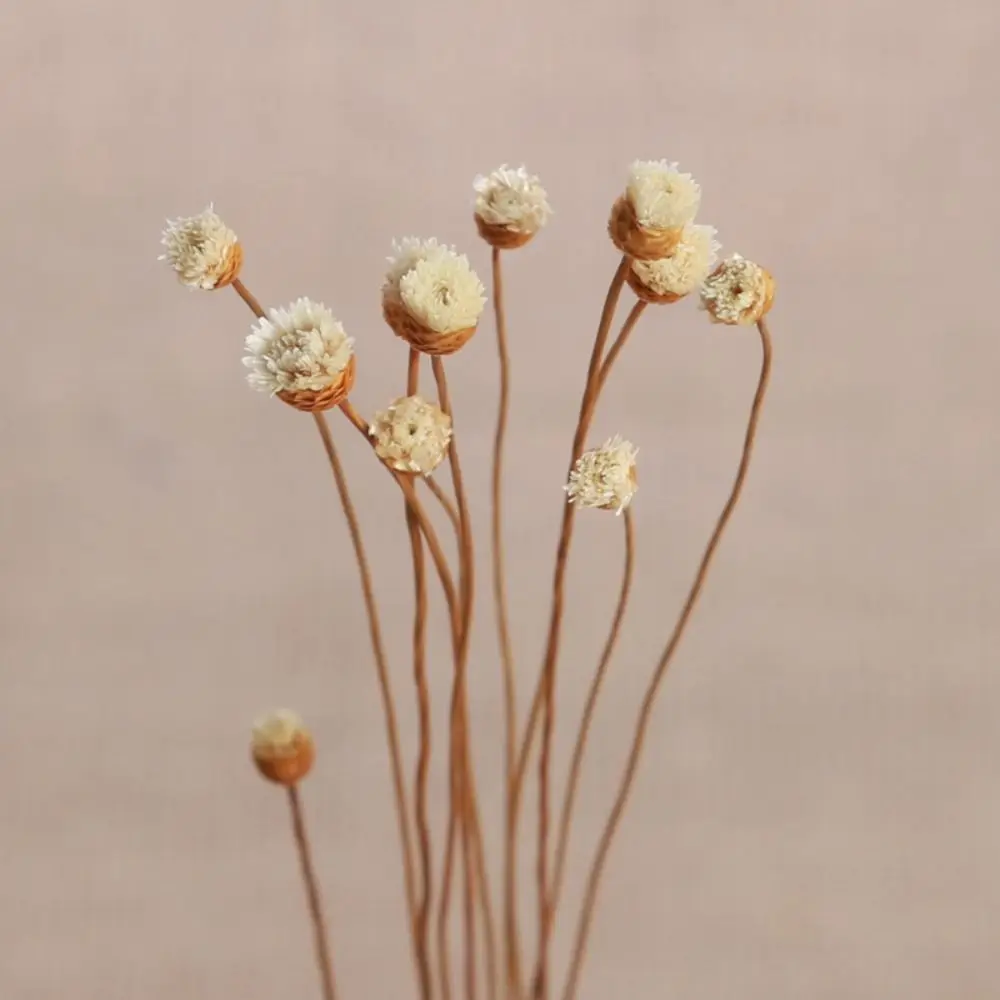 Durable For Aromatherapy Fireless Aroma For Home Volatile Dried Flowers Diffuser Sticks Aromatic Incense Artificial Flower