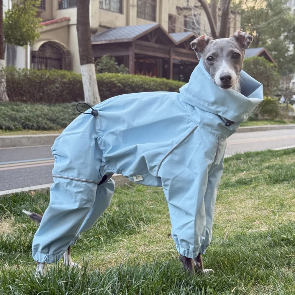 Frühling Sommer Blauer Regenmantel für Italienische Windhunde Winddichte Wasserdichte Jacke mit Rotem Reißverschluss für Whippets Reflektierender Streifenmantel – Detail 6