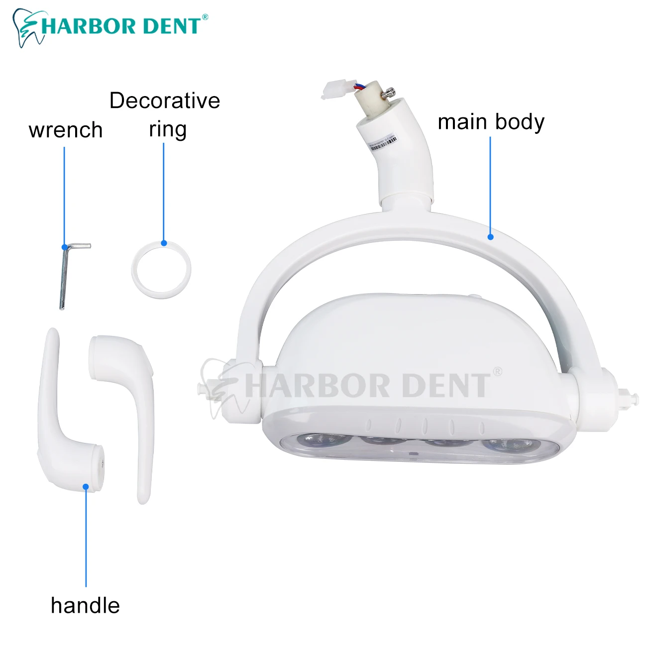 Lampada per operazioni odontoiatriche da 15W lampada a LED orale lampada a induzione per unità di dentista attrezzatura per sedie strumento per odontoiatria lampada a induzione