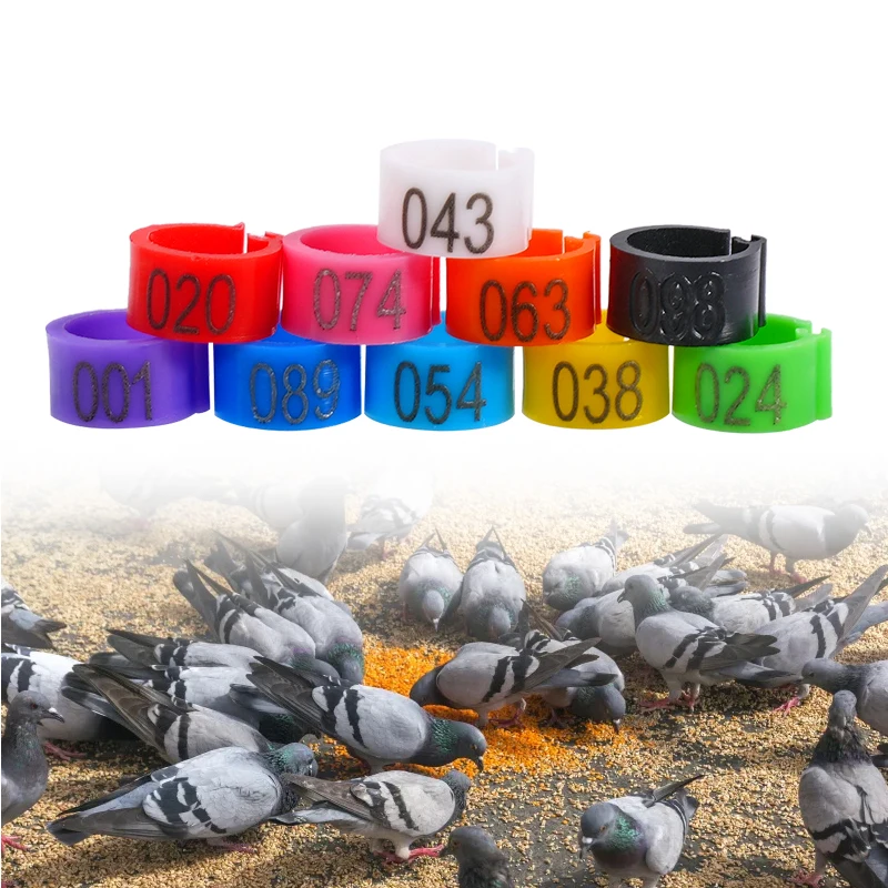 100Pcs Pigeon Foot Ring Feeding Supplies Bird Breeding Identity Recognition 9mm Snap-Fit Foot Ring 1-100 Identification Tools