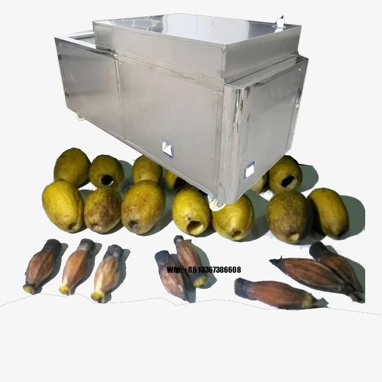 Commercial high-capacity olive/plum/jujube core and seed remover - automatic fruit pitting equipment for processing plants