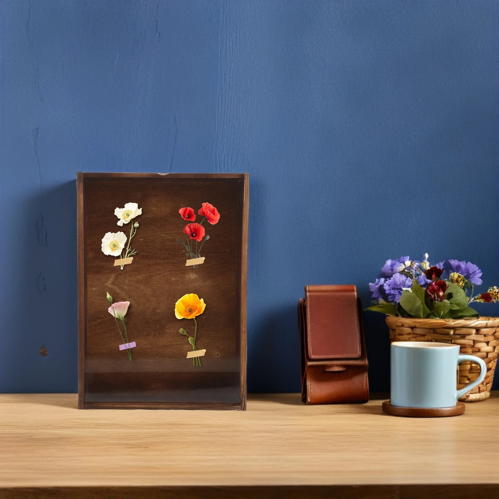 

Butterfly Specimen Display Case Wooden Insect Shadow Box Slide-Out Degree Visibility Dried Flower Frame Tabletop