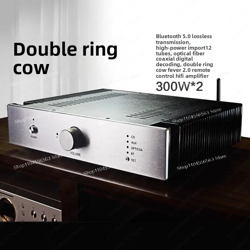 2.0 Channel Power Amplifier - Household Audiophile-Grade Amp with High Fidelity, High Power & Bluetooth Digital Decoding
