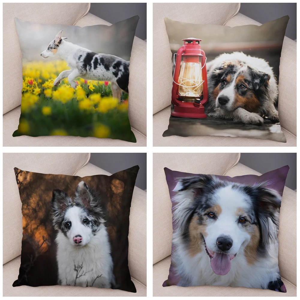 Australian Shepherd Pillowcase Cute Dog Animal  Cover Decorative Pet Sofa Cushion  Home