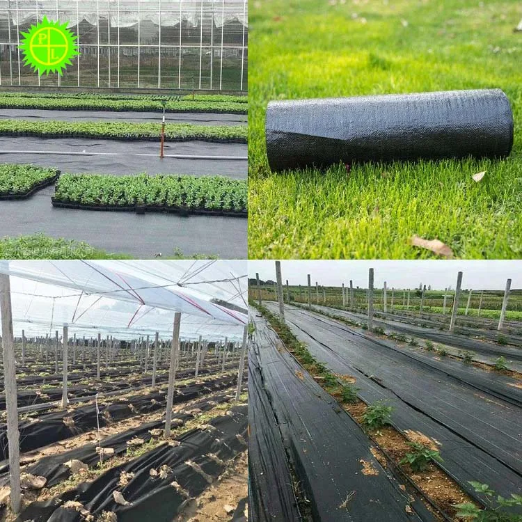 2025년 농업 보호용 흰색 또는 은색 검정색 플라스틱 지표 멀칭 시트