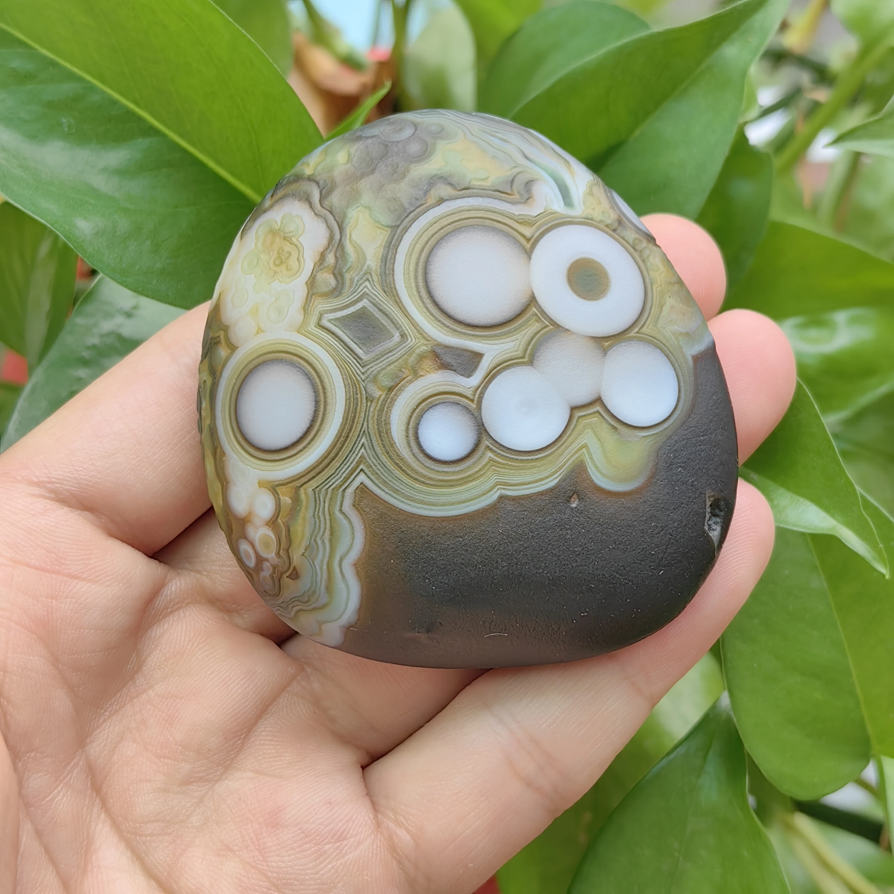 Rare Green & Black Gobi Agate with Striking White Eye Patterns Collectible Geological Specimen for Meditation Space - view 4