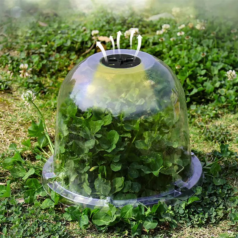 4pcs Garden Plant Dome Reusable Plant Protection Cover Transparent Garden Plant Dome Thermostatic Seedling Insulation Cover